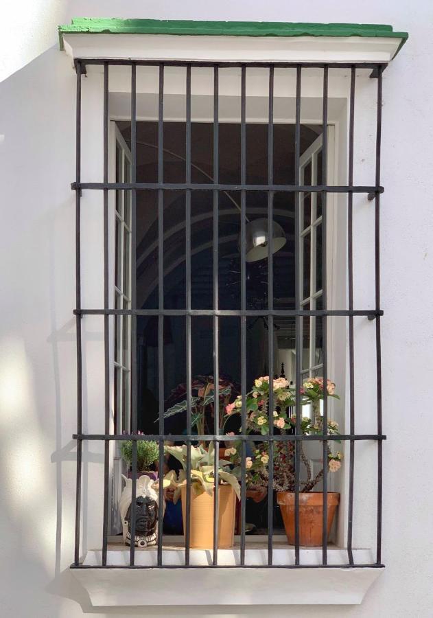 Botanico Casa Rural Arcos de la Frontera Zewnętrze zdjęcie