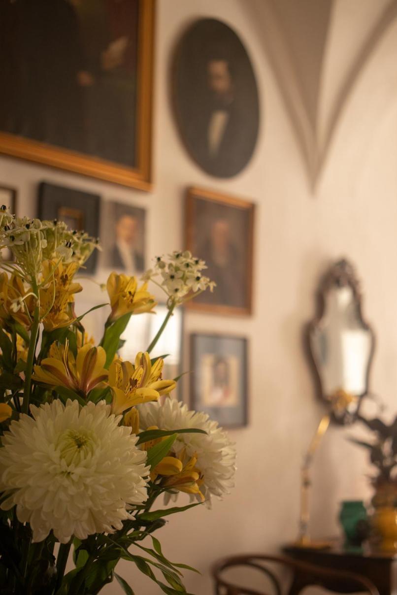 Botanico Casa Rural Arcos de la Frontera Zewnętrze zdjęcie